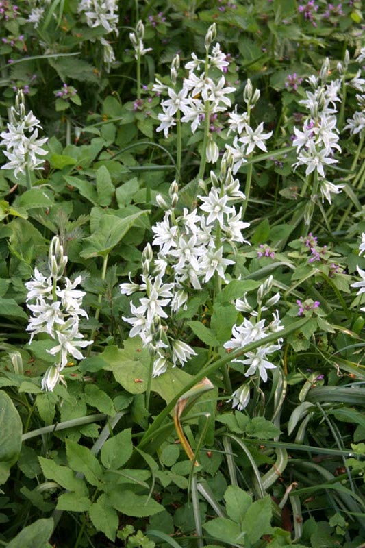 Killikus&reg; Fotographie